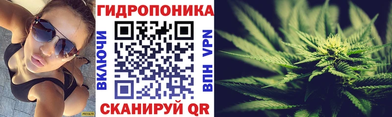 МЕГА ссылки  закладка  Андреаполь  Канабис семена 